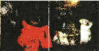 Intrieur: images #1 et #2