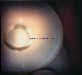Intrieur 2